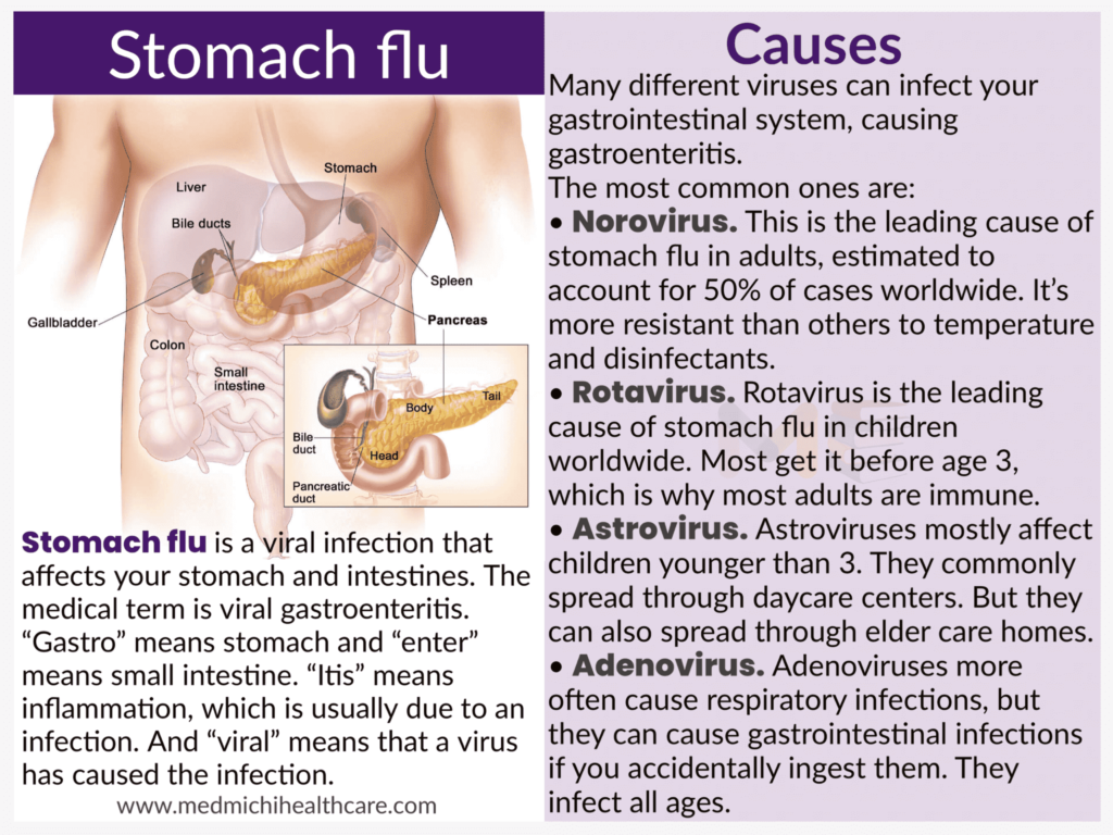 All Disease Causes Short Notes 16 Stomach flu (viral gastroenteritis)