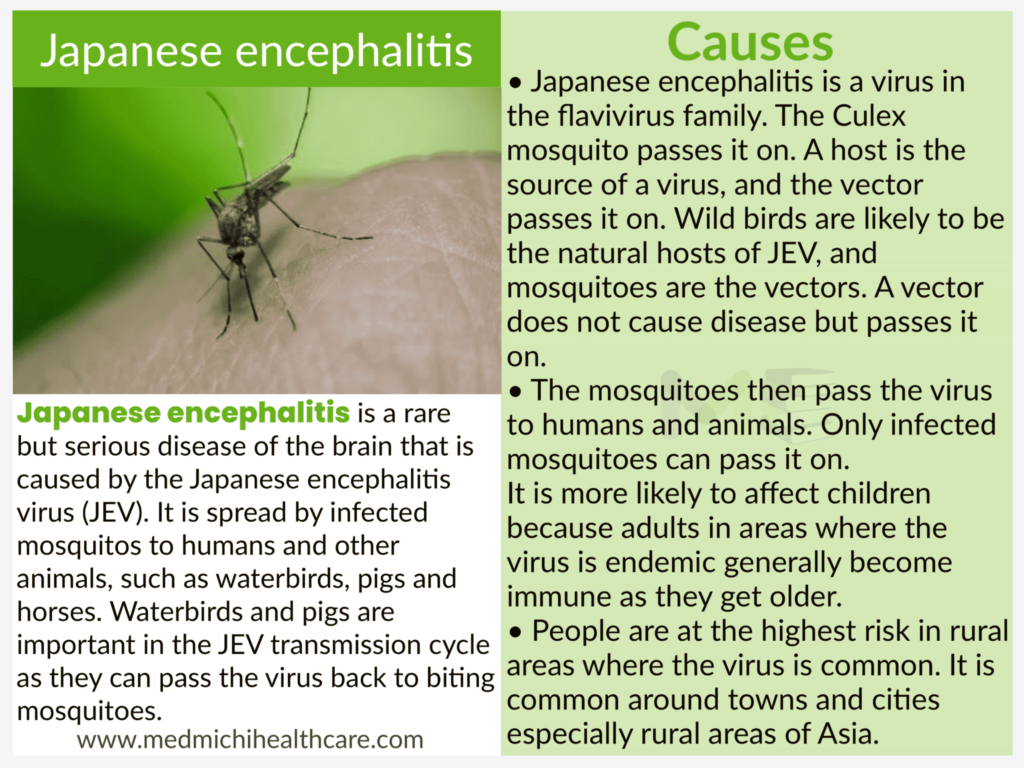 All Disease Causes Short Notes 27 Japanese encephalitis