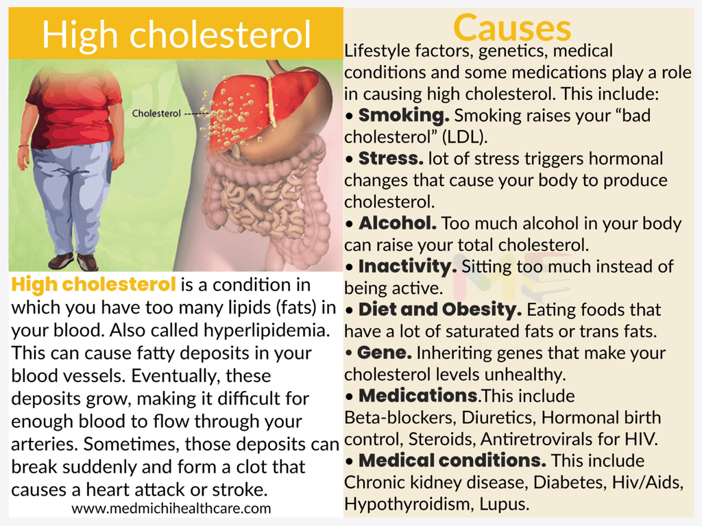 All Disease Causes Short Notes 26 High cholesterol