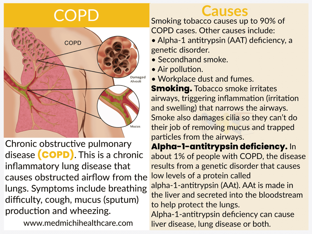 All Disease Causes Short Notes 5 Chronic obstructive pulmonary disease (COPD)