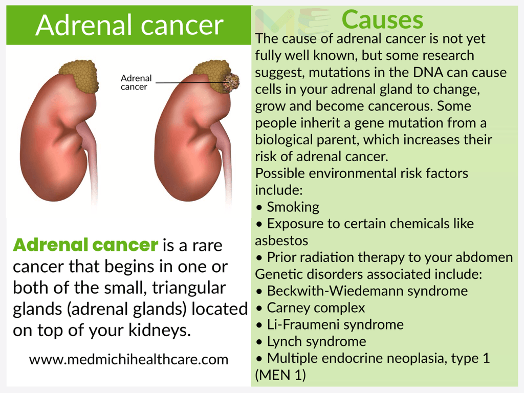 All Disease Causes Short Notes 11 db6f83e8 79cb 4d03 9c36 83ed49ff9175 compressed 1