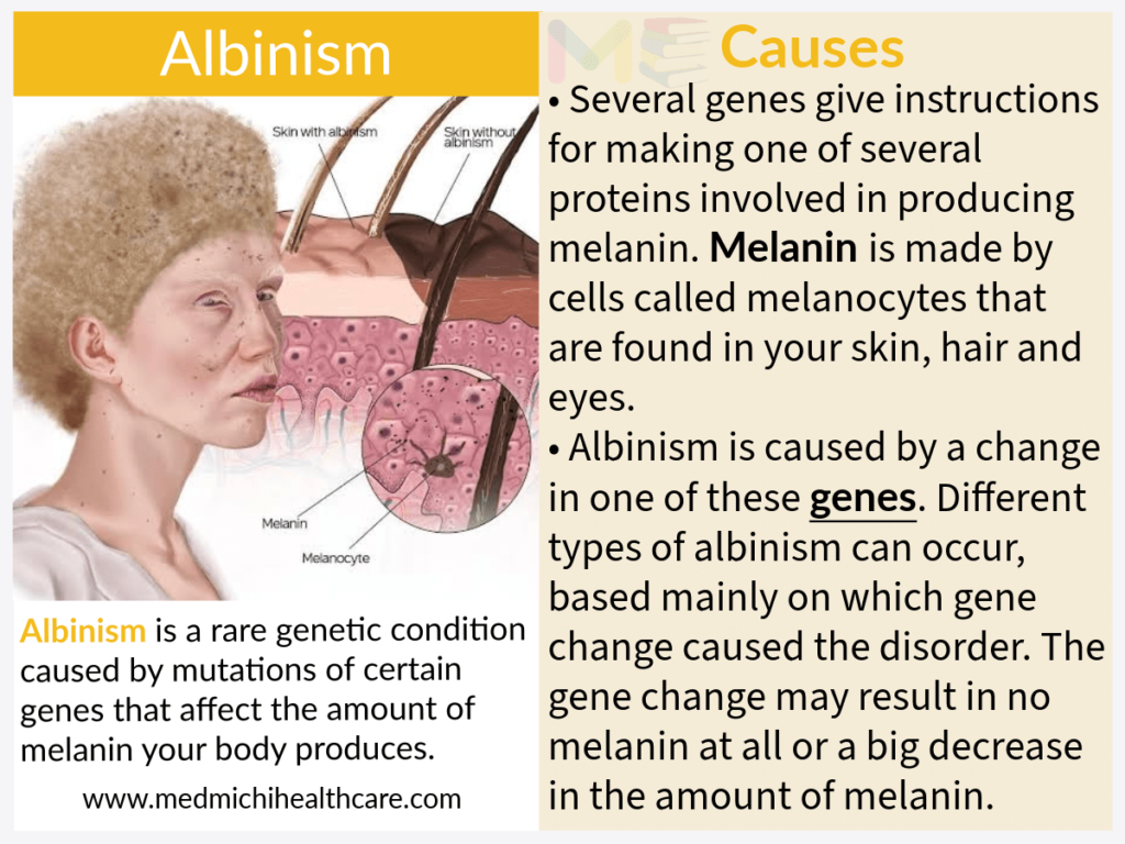 All Disease Causes Short Notes 8 kdjdjjdjd compressed 1