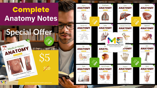 Anatomy Notes (PDFs)