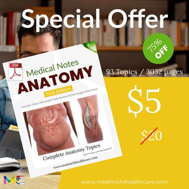 Complete Anatomy Notes (PDFs)