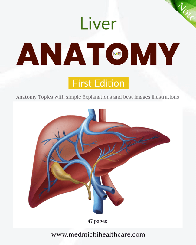 Anatomy note