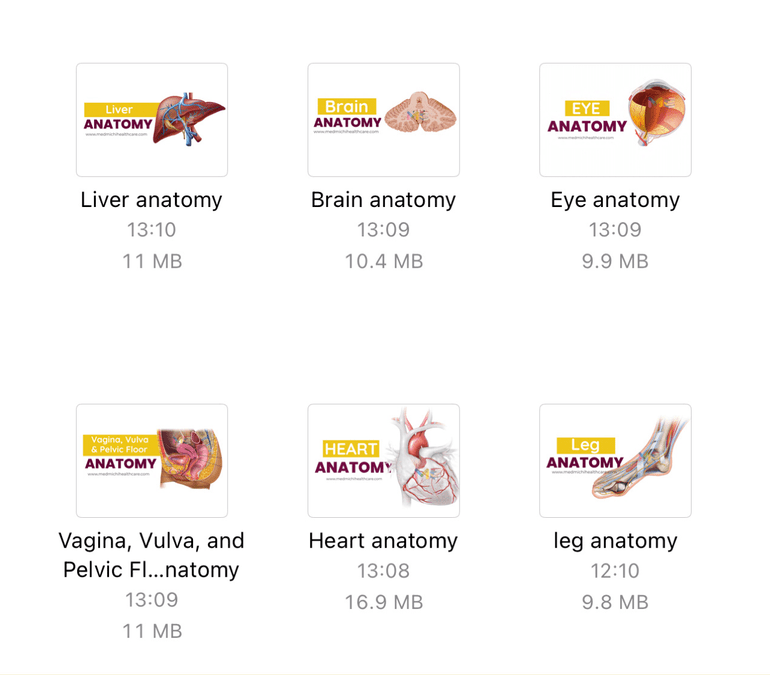 Anatomy notes